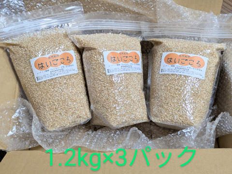 【母の日ギフト】【メッセージカード付き】柔らかく栄養価高い玄米★はいごころ★【自然栽培】【残留農薬検査済】白米に混ぜても一緒に炊けて手軽にGABAが摂取出来る