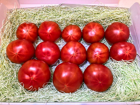 ★平均糖度10.5度！★完熟★高糖度★名水育ち★究極のフルーツトマト「海部川のしずく」1.3kg(9〜18個)　品種は驚きの桃太郎！