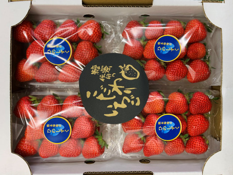 高級希少品種 糖蜜たっぷり使用 ひのしずく小 4パック R 熊本県産 食べチョク 農家 漁師の産直ネット通販 旬の食材を生産者直送 高級希少品種 糖蜜たっぷり使用 ひのしずく小 4パック R 熊本県産 食べチョク 農家 漁師の産直ネット通販 旬の食材を生産者直送