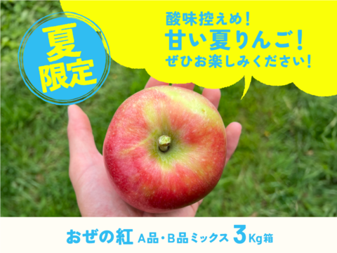【新グンマーリンゴ】おぜの紅  3キロ箱 6玉〜15玉サイズ商品ID162360 長野県 信州 安曇野 リンゴ 幻 幻のリンゴ 予約 希少 旬