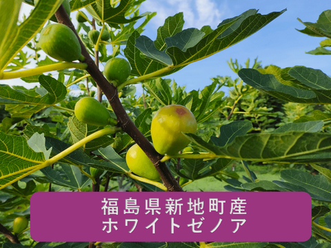 いちじくセミドライフルーツ　てん菜糖で煮込み柔らかめに乾燥　2袋セット