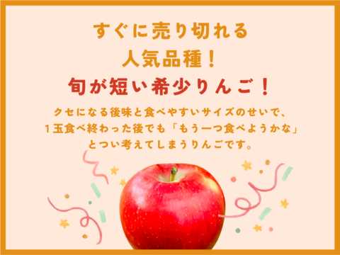 幻の小玉第1弾】シナノピッコロ3キロ箱 人気上昇中！ 〜21玉