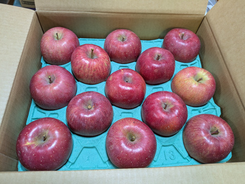 【お待たせしました！】標高730ｍの果樹園からお届け！信州松本育ちのサンふじ🍎りんご　(5kg)【訳アリ】