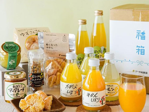 【ゲン担ぎ福袋】福箱 (人気のみかんジュース・ゼリー他バラエティセット) 　fb-s