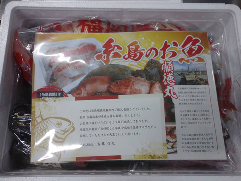 【魚介の福袋】糸島真鯛と厳選された鮮魚のお🉐なセット！