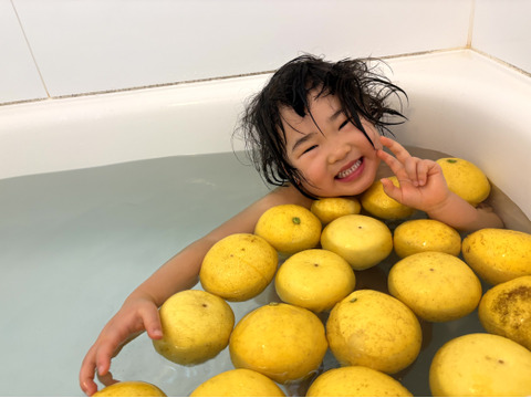 ♨️ゆず湯もいいけど文旦風呂はいかがでしょうか？♨️　超ミニサイズの土佐文旦（150～350g）　マーマレードやピール作りにも使えます✨　4.3kg（15～18個入)