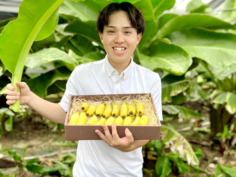 【全国初！バナナに温泉水 !?】 ばななのよろこび1kg