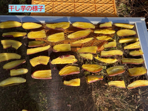 【訳アリ・超特価】【自然栽培】　さつまいも（シルクスイート）５kg　S～3Lのmix　農薬不使用・無肥料栽培　【岐阜県産】【収穫時期2025年10月上旬】400円／1kg