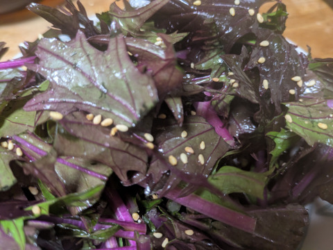 ❄️☃️冬の野菜セット☃️❄️