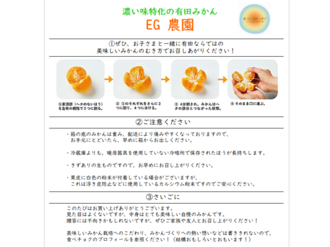 【超数量限定】有田みかん　丹生系晩生 3キロ箱 和歌山県 有田 みかん 2S~3Lサイズ　家庭用キズあり