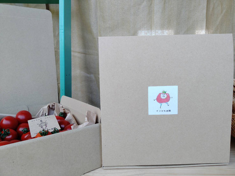 新品種！しっかりとした食感！甘味と酸味！「276」1kg