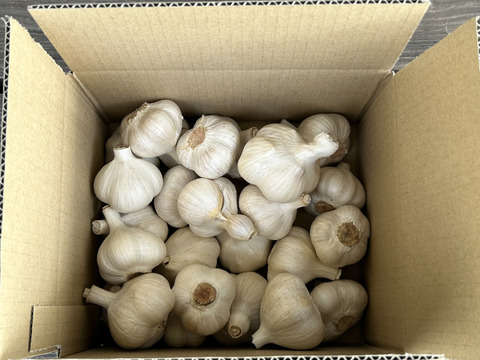 【再入荷・出店記念・数量限定】農薬・化学肥料不使用！にんにく(福地ホワイト六片)MS混在・1kg