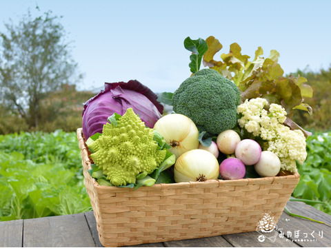 《ベジコレ》淡路島産島のトレンド野菜コレクション!!　お任せセット　-100サイズ-