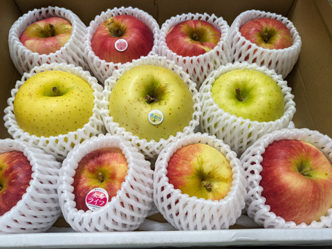 2024年産完売御礼✨特別栽培りんご3種食べ比べ🍎🍏 訳ありご家庭