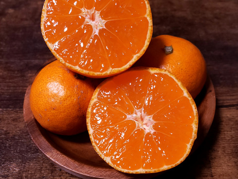 【ご家庭用 Sサイズ以下小玉5kg】甘味凝縮 有田みかん