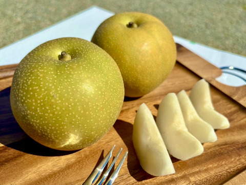 昨年大好評！『清流球磨梨』あきづき　約10kg【5kg箱(5〜14個入り)を2箱重ねてお届け】