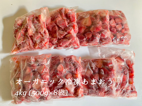 完熟！オーガニック冷凍あまおう 4kg(500g×8)