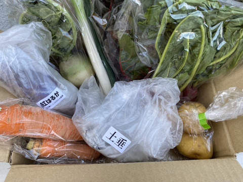 一人暮らしの方に・季節の野菜セット５～７品（Ｓサイズ・1～1.5kg前後）【お試しサイズ】
