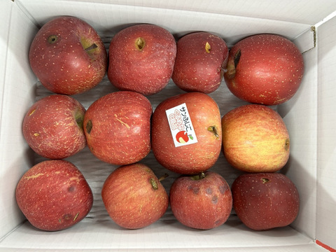 まるせい果樹園のサンふじ　訳ありの訳あり　加工用　自家用　家庭用　6キロ rfｗ