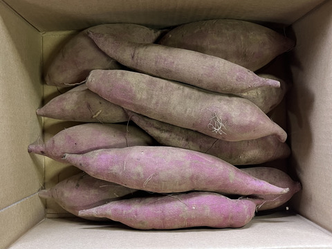 しっとり甘い！｢あまはづき｣ 箱込み約1.8kg(土付き) ミニサイズ