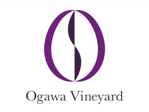 【特秀品】予約特別価格！『ハート形の大粒果実♡マイハート』種なしで皮のまま食べられる甘み豊かなぶどう！1房