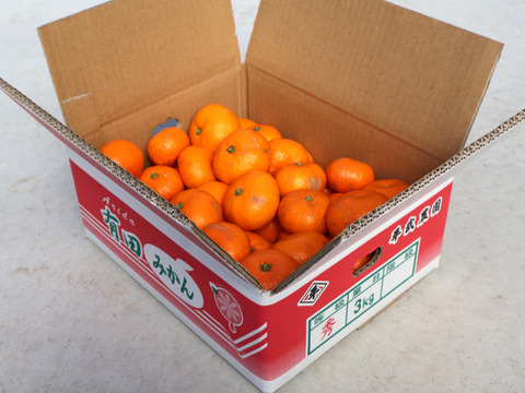 【冬ギフト】農家直送！有田みかん3kg≪訳あり（サイズ混合）≫【平武農園】～蛍飛ぶ町から旬の便り～　和歌山｜有田｜田口｜ギフト｜こだわり　産地直送　お取り寄せ