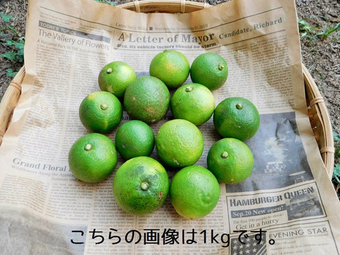 【自然栽培】大分県特産「かぼす」3kg（小さいものやキズ等で見た目が良く無い物も含む無選別品）