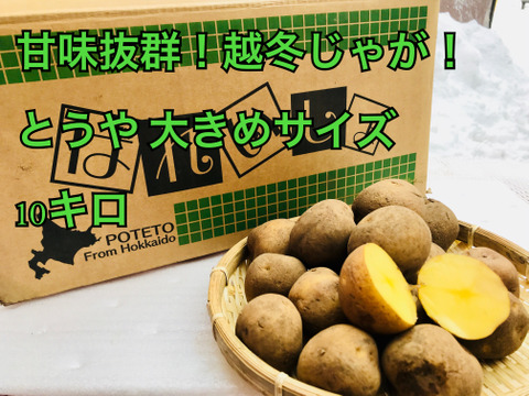 ●越冬じゃがいも とうや  M〜2Lサイズ　●10キロ ●北海道 ジャガイモ