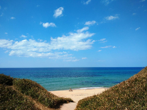 【丹後砂丘産 紅はるか使用】さつま芋チップス(76g×20袋)