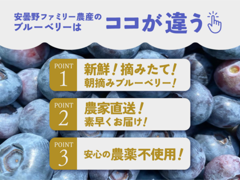 【食べチョク高評価No.1】ブルーベリー約1キロ【栽培期間中農薬不使用】大小ミックス 商品ID40461  旬 生食用 加工用 ベリー 果物 ギフト 贈答 家庭用 予約 6月 7月