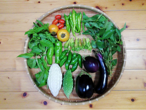 【農薬・化学肥料不使用】花オクラ入り野菜セット【６～８種類の野菜】【食べ方説明書付き】【金曜日クール便で発送】【あわせ買い可】【熨斗(のし)対応可】【８０サイズ箱】