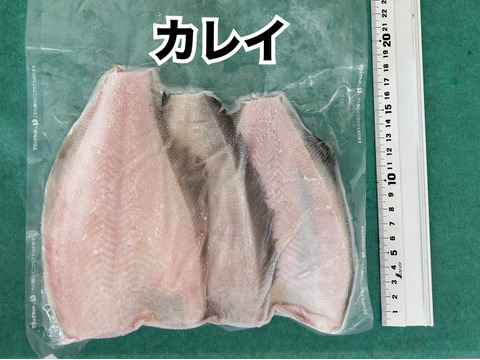 【冷凍】未利用魚🐟お手軽3種セット！真空&−60℃で鮮度も抜群！！2セット