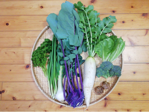 【農薬・化学肥料不使用】【クールで対応】野菜セット【黒ニンニク(50~70g)付き】【5~7種類の野菜】(60サイズ箱)