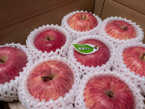 肥料・堆肥なし栽培りんご
「有袋ふじ」 ご自宅向け　約2.5kg(8〜10個)