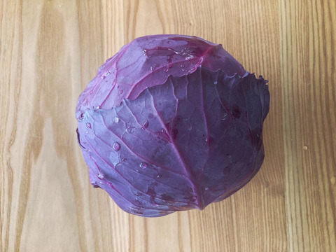 お料理の幅が広がる！季節の西洋野菜Italian selection 80サイズ