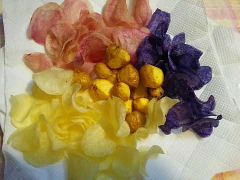 【自然栽培🍀固定種グランドペチカ1kg】毎年種芋を繋いでいます🥔栗やサツマイモに似た甘みがありホクホク、深いコクと風味