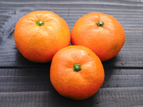 【EHIME UWAJIMA】とろける食感の絶品早生みかん！Aセレクション（家庭用）10kgBOX（正味9.5kg）