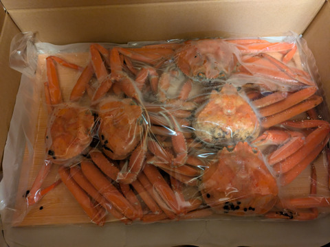 たまらない旨さ✨本ズワイガニ~人気でお得な浜茹で1.5Kgセット~