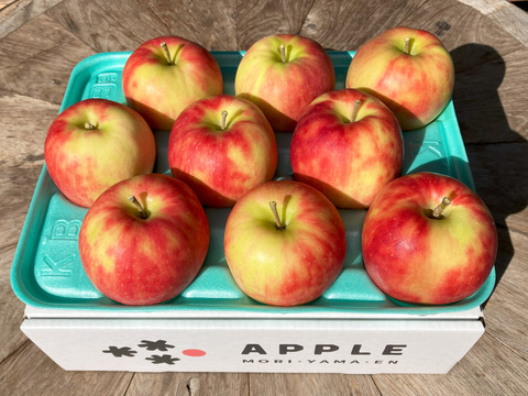 🍎ジョナゴールド🍎3kg 農薬半減栽培✨ジューシーで爽やかな酸味🍎贈り物にも👌特選りんご