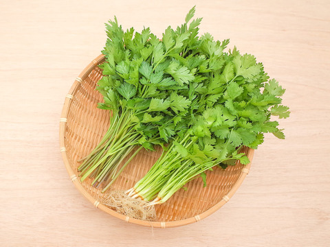 【セット】採れたて！新鮮イタリアンパセリ100g + パクチー100g【農薬化学肥料不使用】