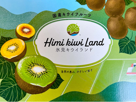 平均糖度17度‼️氷見特産・希少種『翡翠（ひすい）グリーンキウイ』1kg
