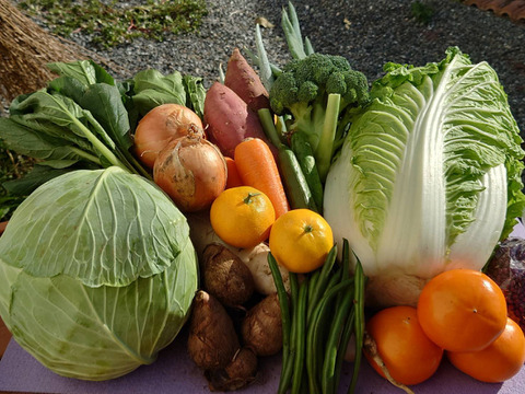おさだ農園の野菜の宝箱（お野菜7品目以上）　栄養満点満腹セット　100サイズ