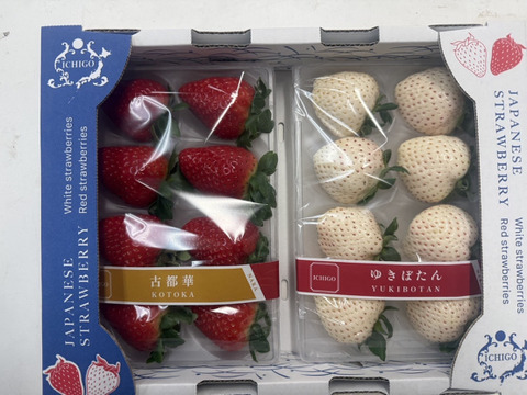 奈良発☆古都華×ゆきぼたん(各1Ｐ)　250g×2Ｐ