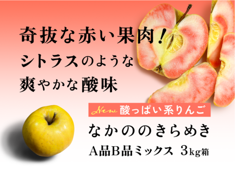 幻の林檎】NEWすっぱい系！ なかののきらめき 3キロ箱 6玉〜15玉