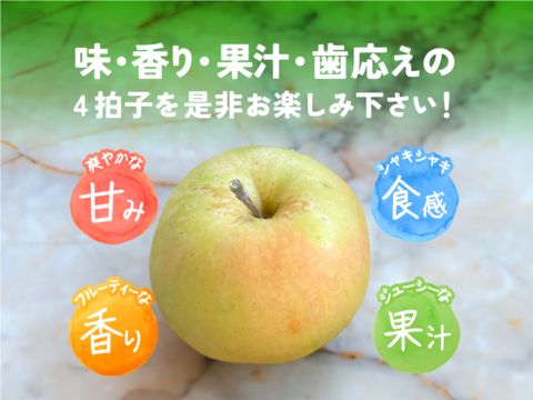 残り20ケース！【フルティーサマーアップル】トキ 5キロ箱 訳あり品 商品ID21060長野県 信州 安曇野 リンゴ 幻 幻のリンゴ 予約 希少 旬