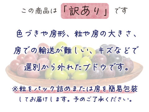 花笑み農園　岡山の訳ありブドウ3種食べ比べ　1kg【9/18～順次発送】W3M-1