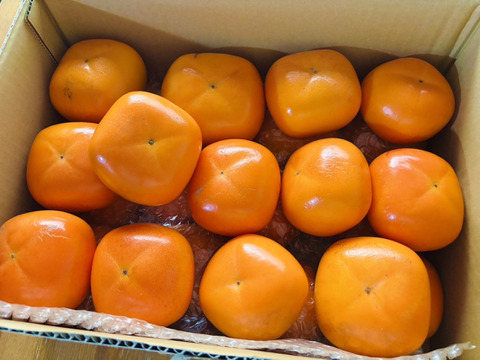 秋来る　たねなし柿（箱込み５kg以内・２４～ ３０個入り）※ご家庭用