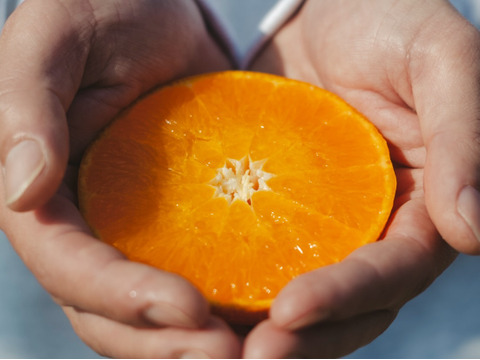 【訳ありだけど美味しさそのまま】せとか 5kg 愛媛県産