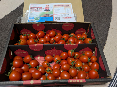 【特別栽培農産物の取得】ソムリエミニトマト　ダイヤ１kg（６０玉～９０玉）