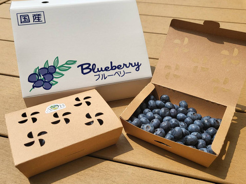今が旬！！農薬不使用！ラビットアイ系ブルーベリー(300g×２)